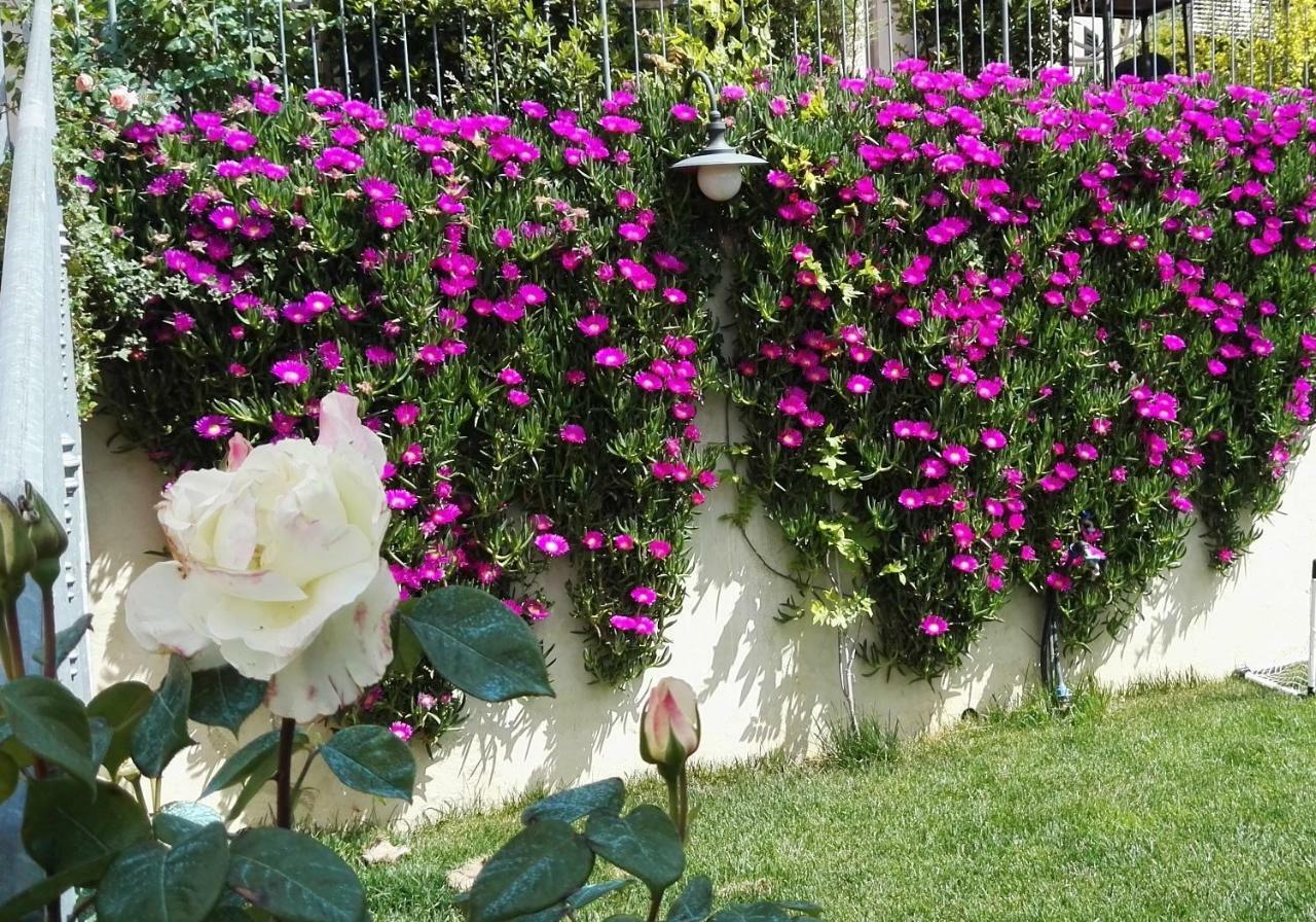 All'Aia Bianca 1868 Soianella Ngoại thất bức ảnh